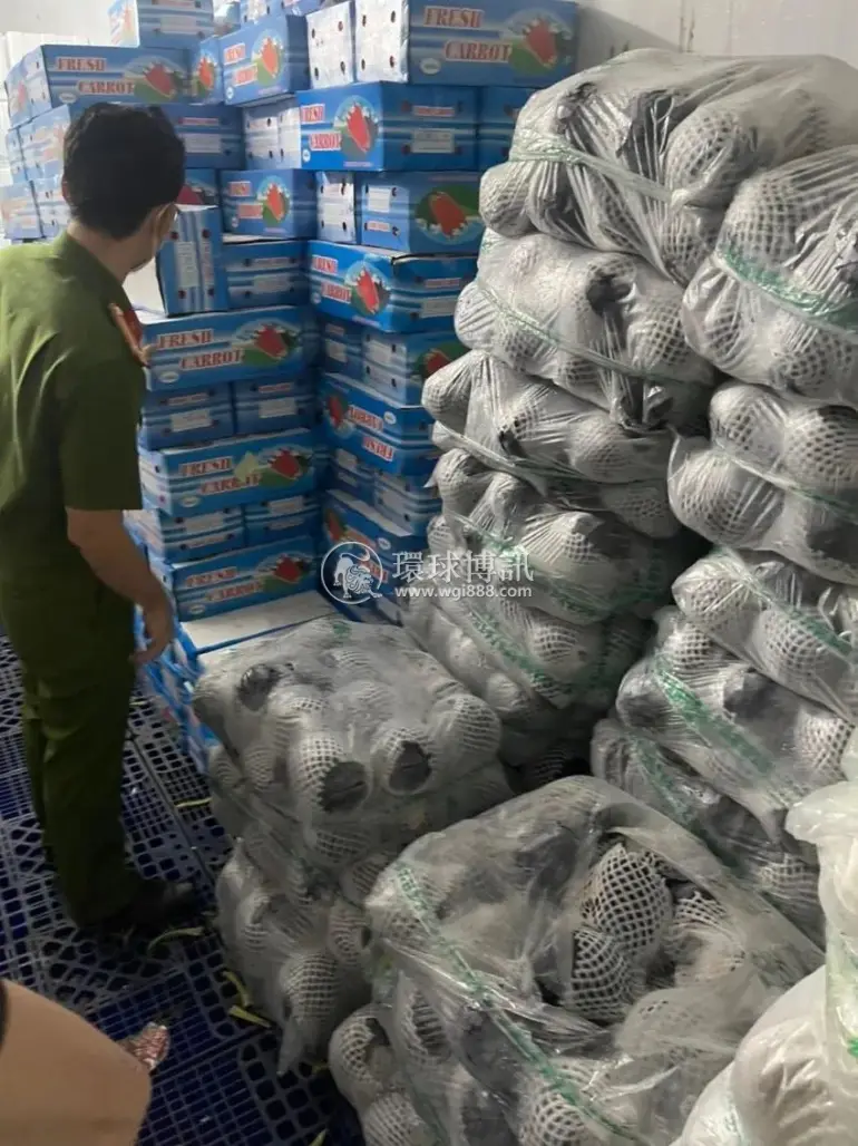 胡志明市最大批发市场近12吨中文包装的蔬菜涉嫌走私被扣押_【环球博讯】 image