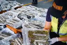 菲律宾海关局再次缉获大麻包裹 总重21公斤